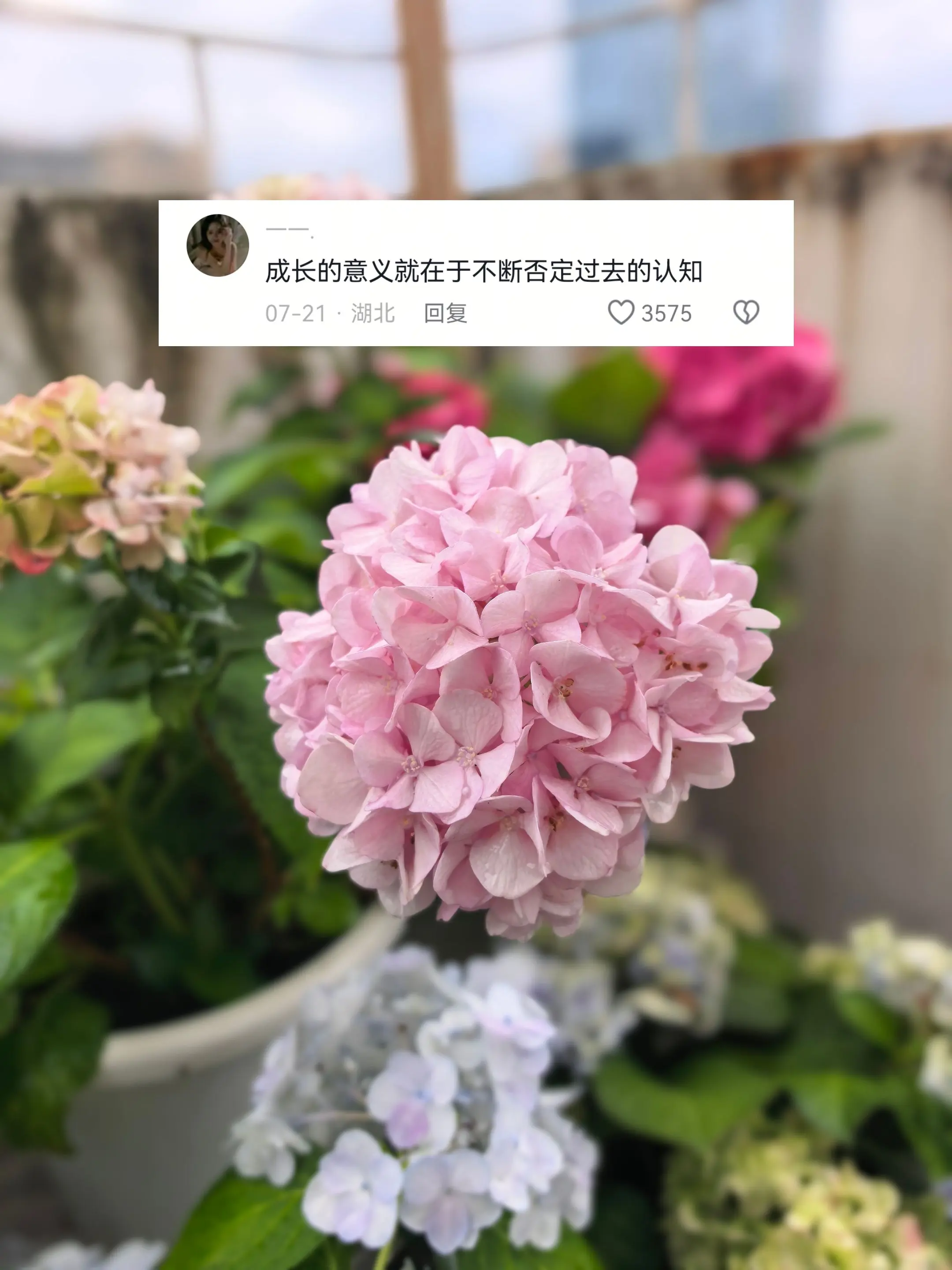 成长，即是不断推翻过往认知。