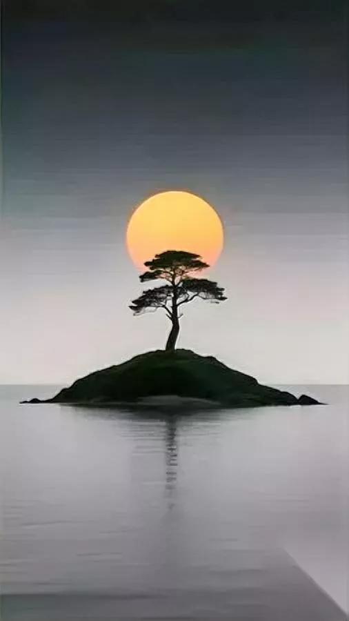 男人混得差怪谁？

别怨命，先看自己站得稳吗？

总有人把落魄归为“没背景”，却