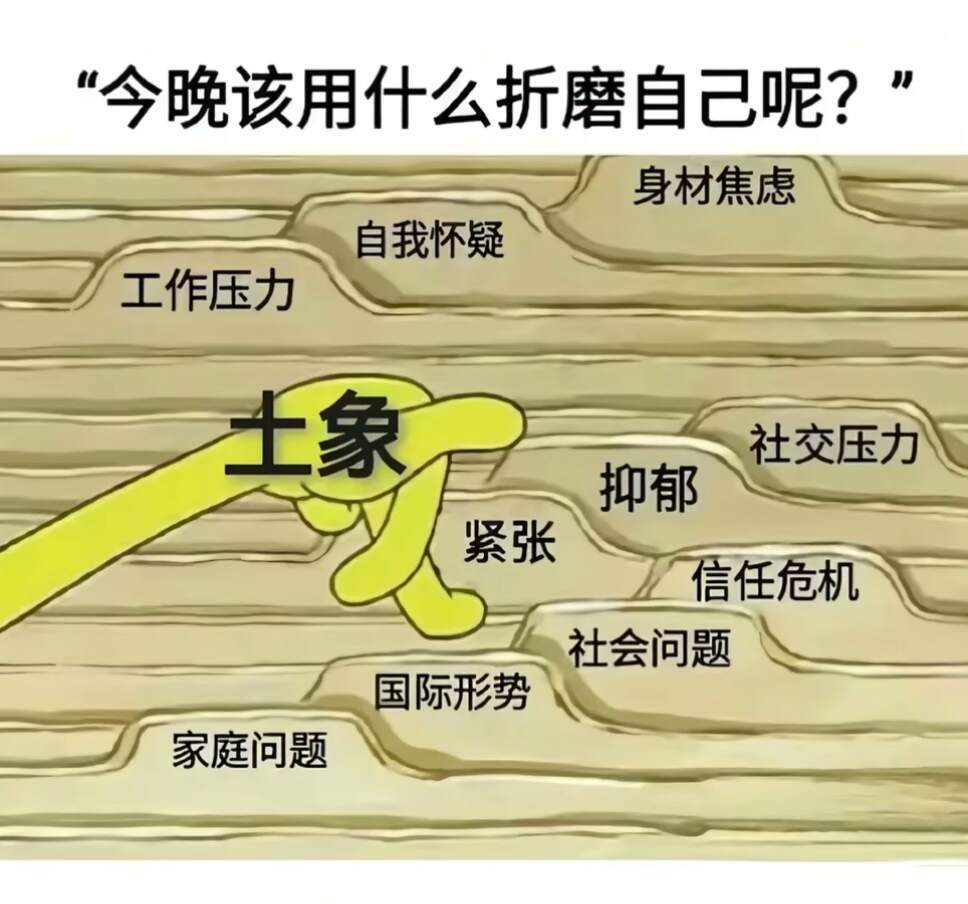 土象的一生 