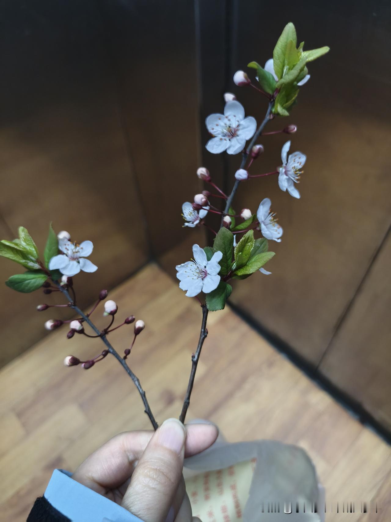 这年头，能拿出十万块钱的人多吗？拿不出来的多吗？
我反正拿不出来！[捂脸]
你能