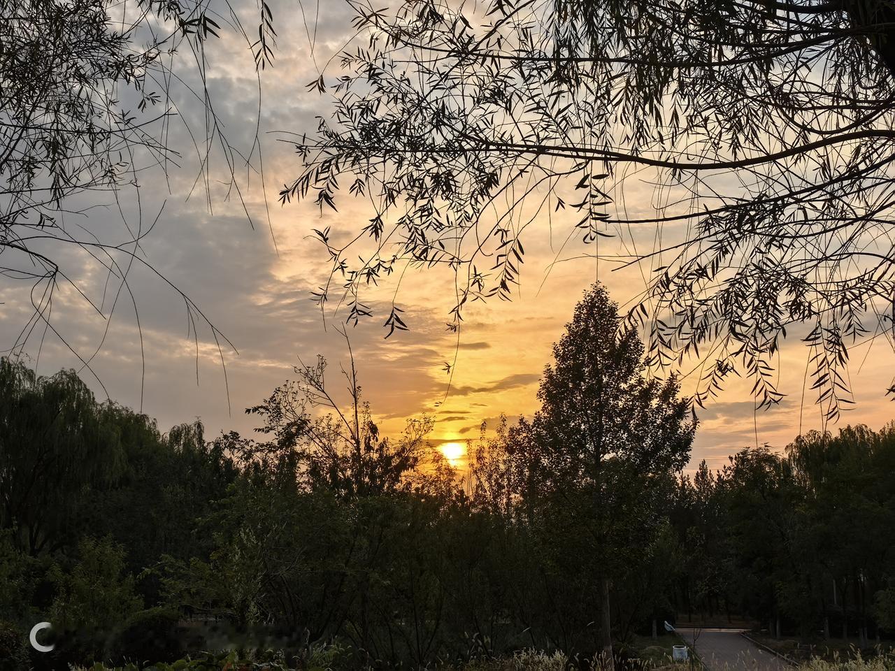 打卡包头昆都仑湿地公园，落日余晖待你而归！