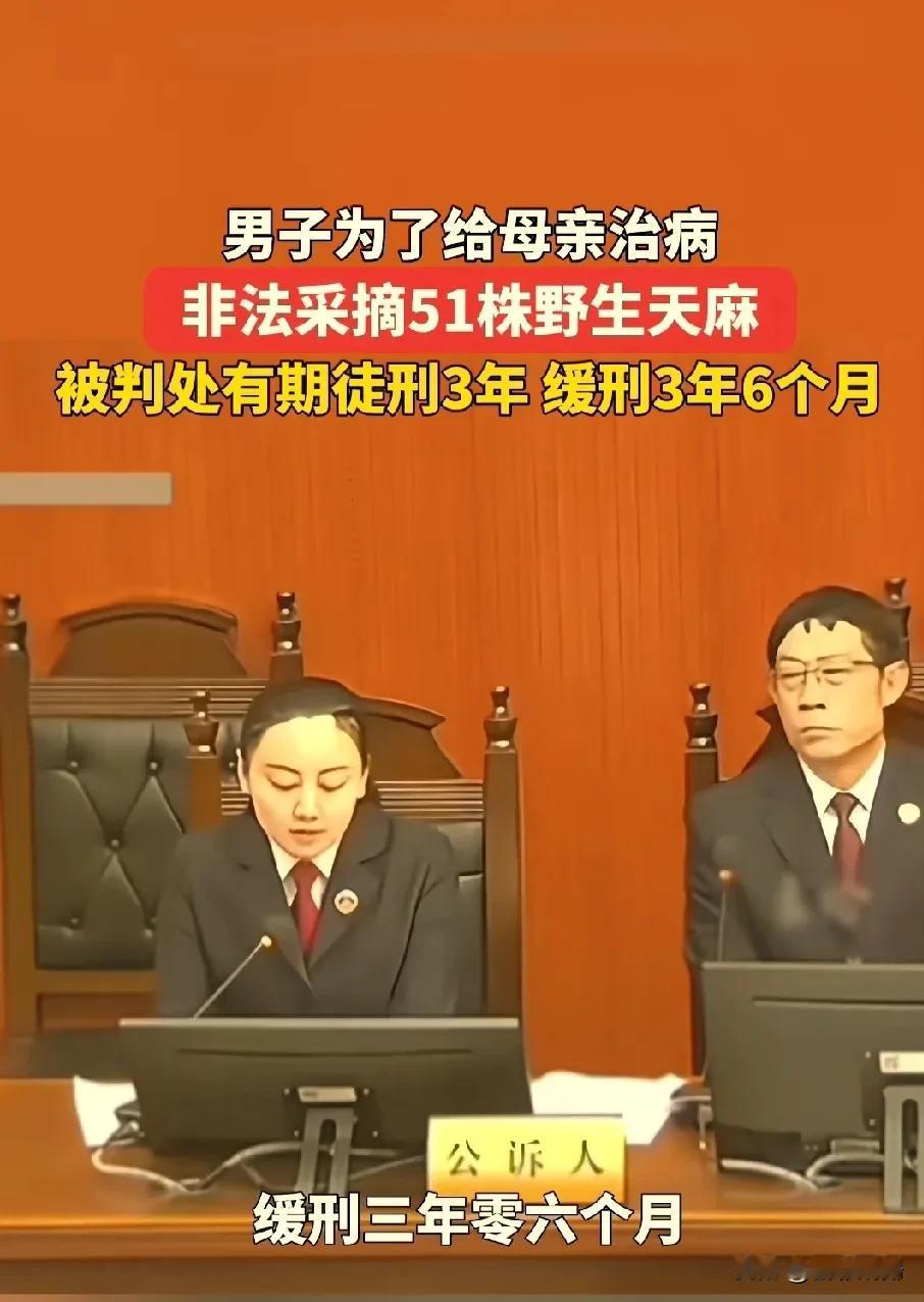 重庆黔江野生天麻VS
新乡辉县学生抓鸟

从2014年的新乡大学生抓鸟被判十年，