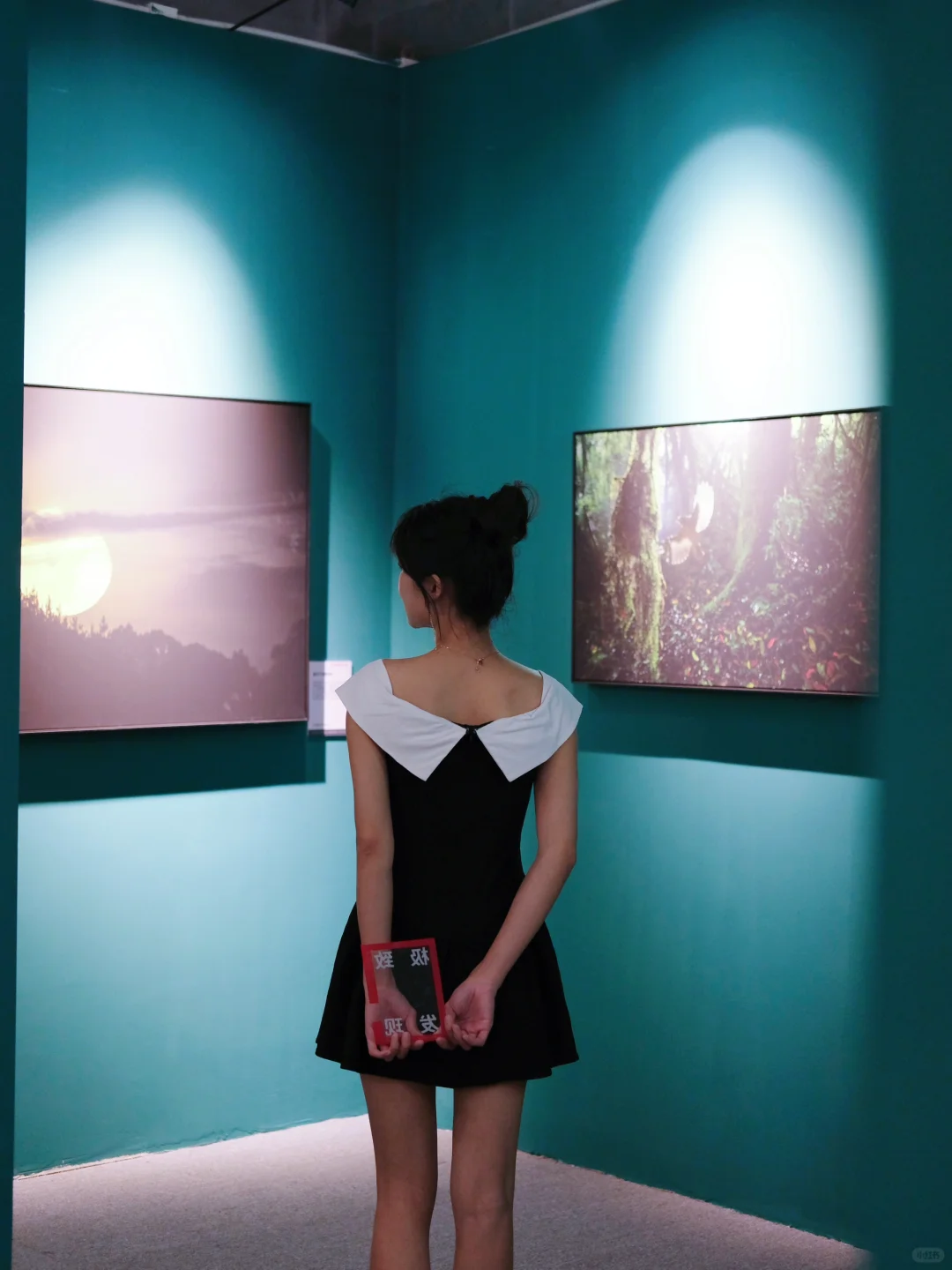 ✨深圳新展|适合国庆打卡的展览📷