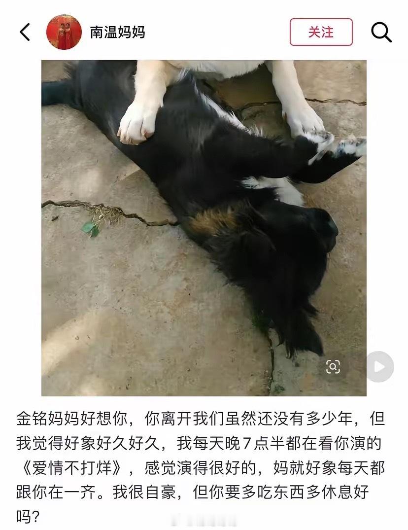 李金铭农村综艺那家人居然还在发她 李金铭农村综艺那家人居然还在发她，回看李金铭这