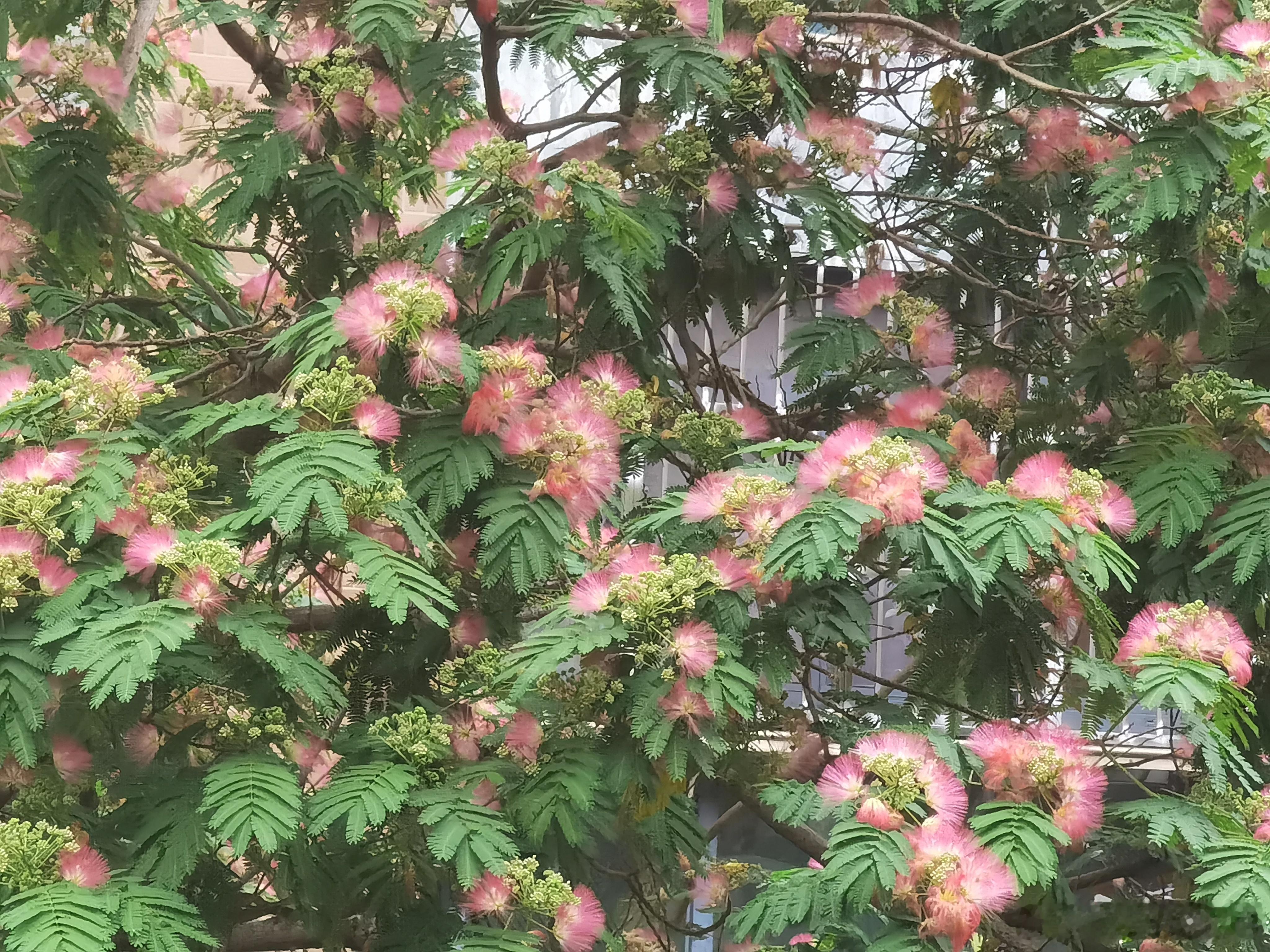 热辣辣的夏天 