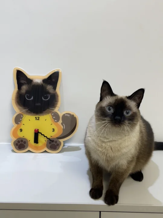 人，可是小猫不知道怎么看时间🥺