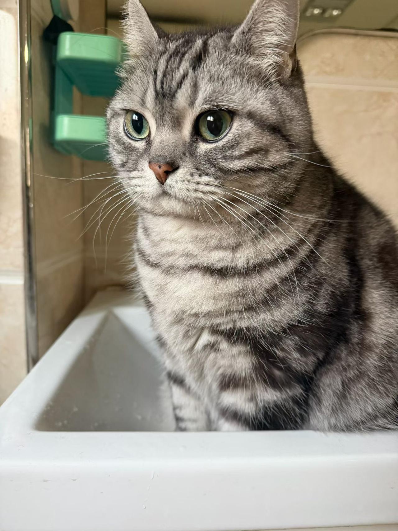 其实他是分分钟在等着搞破坏[发怒][发怒]