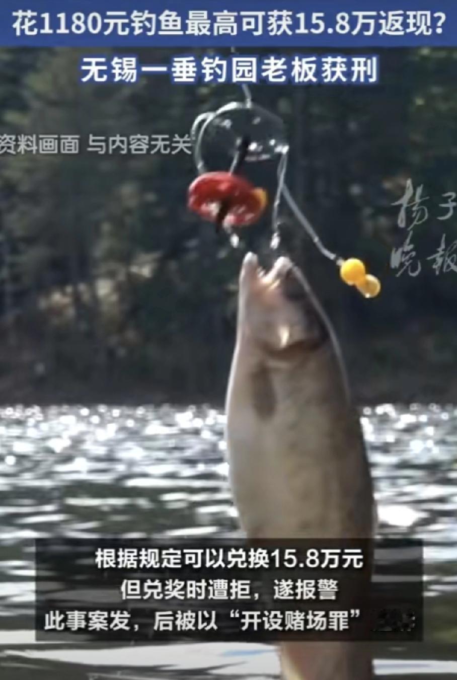 花一千钓条鱼能赚15万？

友友们，听说过钓鱼还能“爆装备”的吗？无锡有个鱼塘老