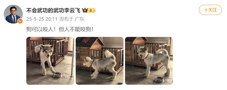 到底发生了什么？比亚迪高管李云飞这是在说谁？