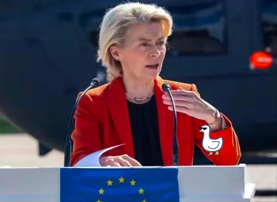 2026年1月9日，欧盟成员国投票同意签署与南方共同市场（简称南共市）的自由贸易