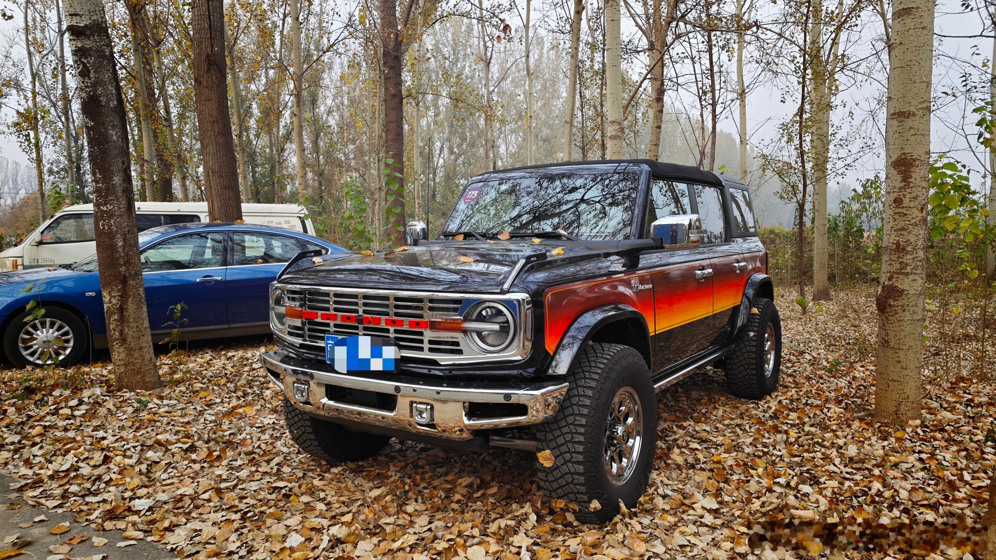 落叶中的烈马 ​​​