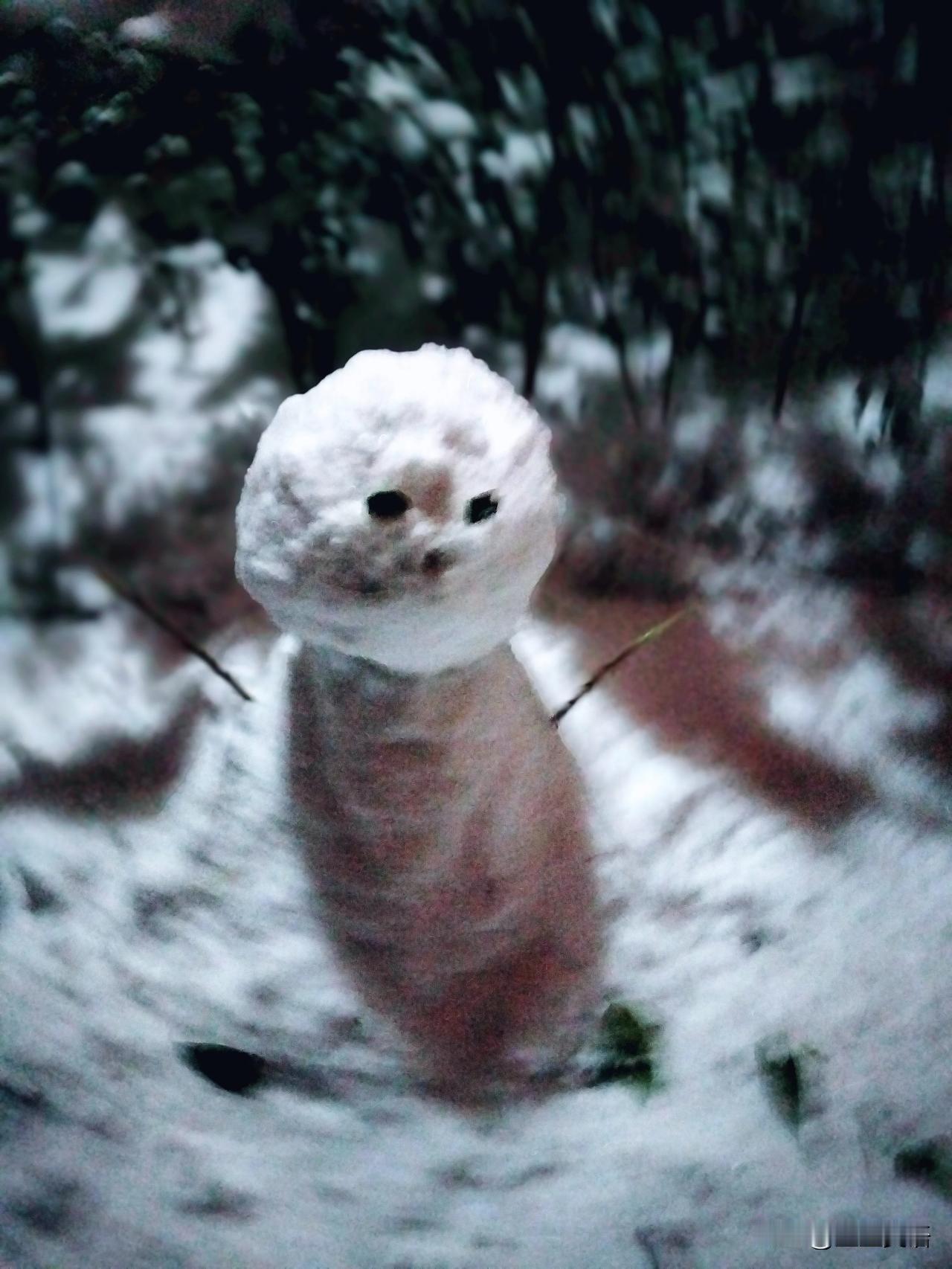 下雪了[呲牙]
大晚上的，太激动了，带着孩子下楼堆个雪人。
这是齐国的雪人[呲牙