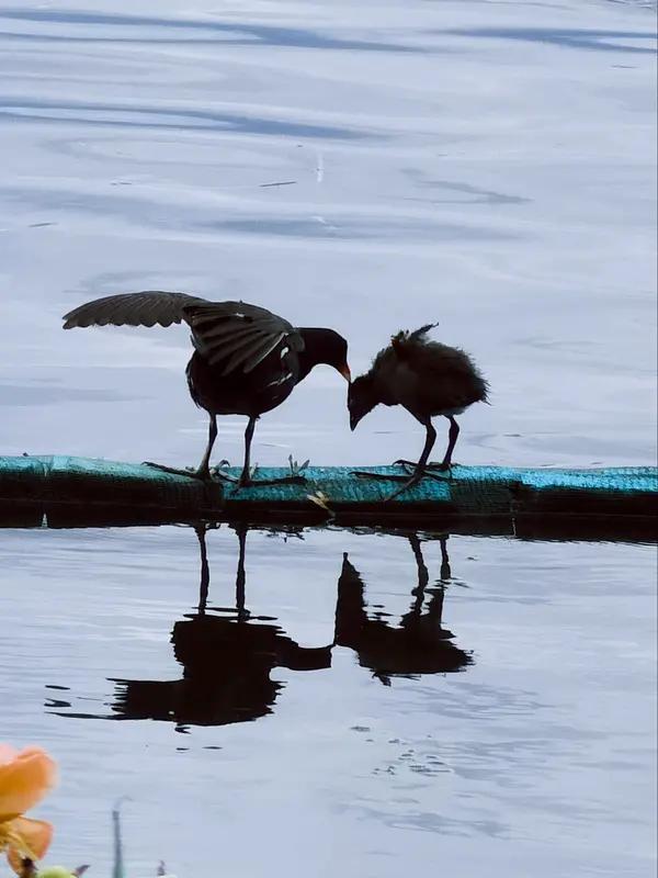 上联：相逢情脉脉；
下联：离别意绵绵。