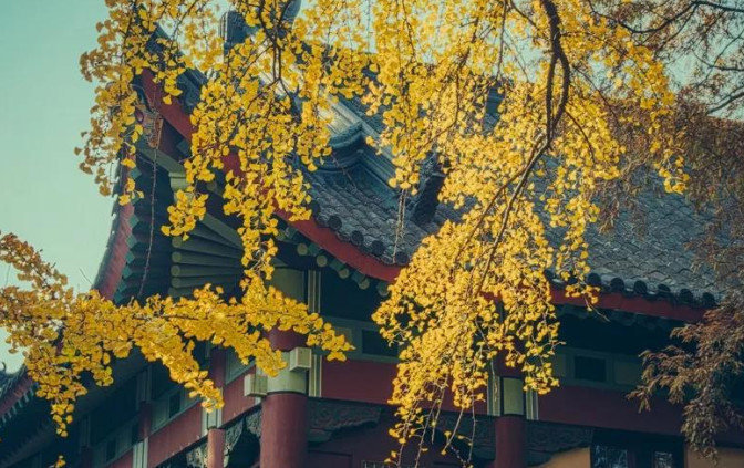 南京一场秋，金陵一场梦 ​​​​！ ​ ​​​