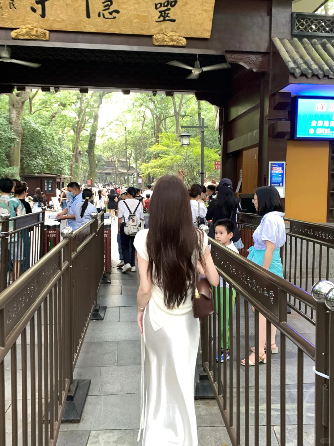 生命这卷书 落款应是亭亭长青树