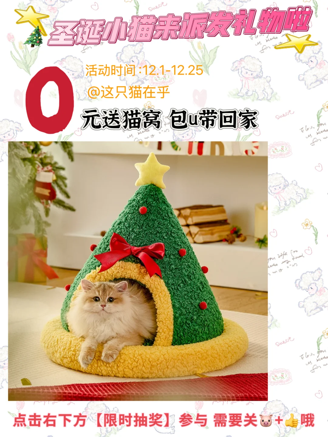 恭喜你获得一个🎄猫窝｜请速速来领取！