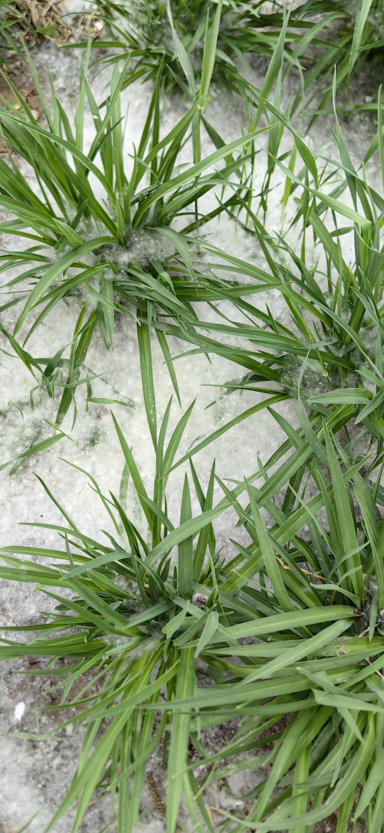 分享今日随手拍的照片