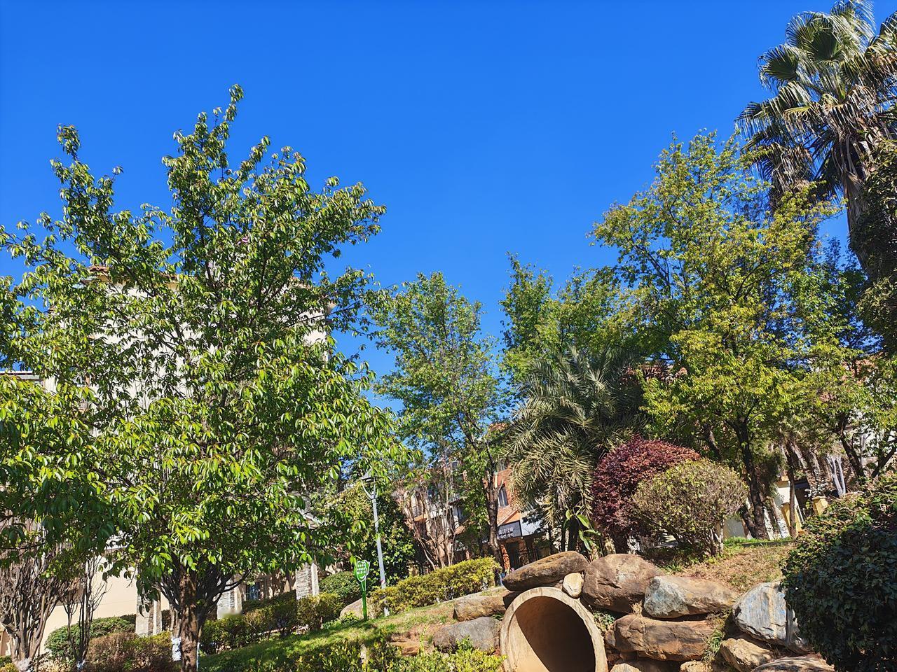 以前有两个词经常见诸报端：“跨越式发展”、“弯道超车”，这几年没听见说了！