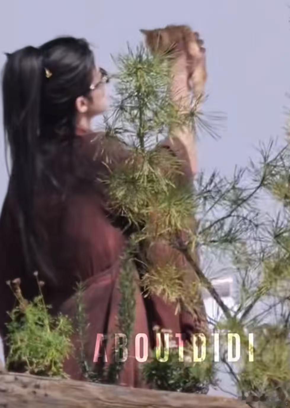 王鹤棣咸鱼飞升红衣举猫路透王鹤棣宋潜机新皮肤王鹤棣宋潜机新皮肤，帅气，[嘻嘻][