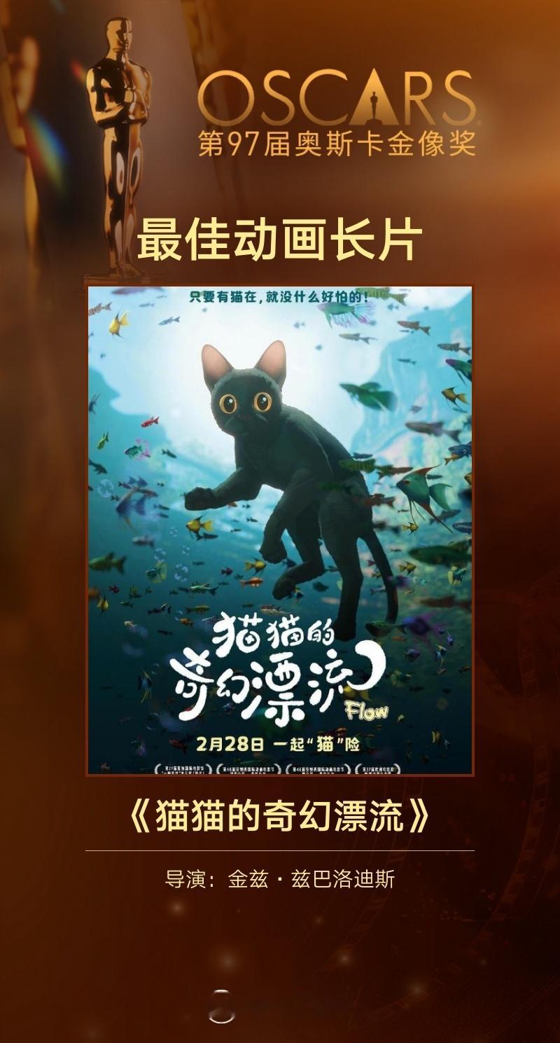 猫猫的奇幻漂流奥斯卡最佳动画长片  猫眼专业版实时见证，《猫猫的奇幻漂流》获得第