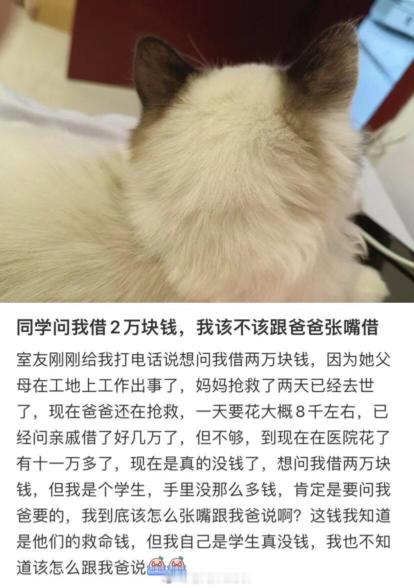 同学问我借2万元我该向我父亲要吗 ​​​