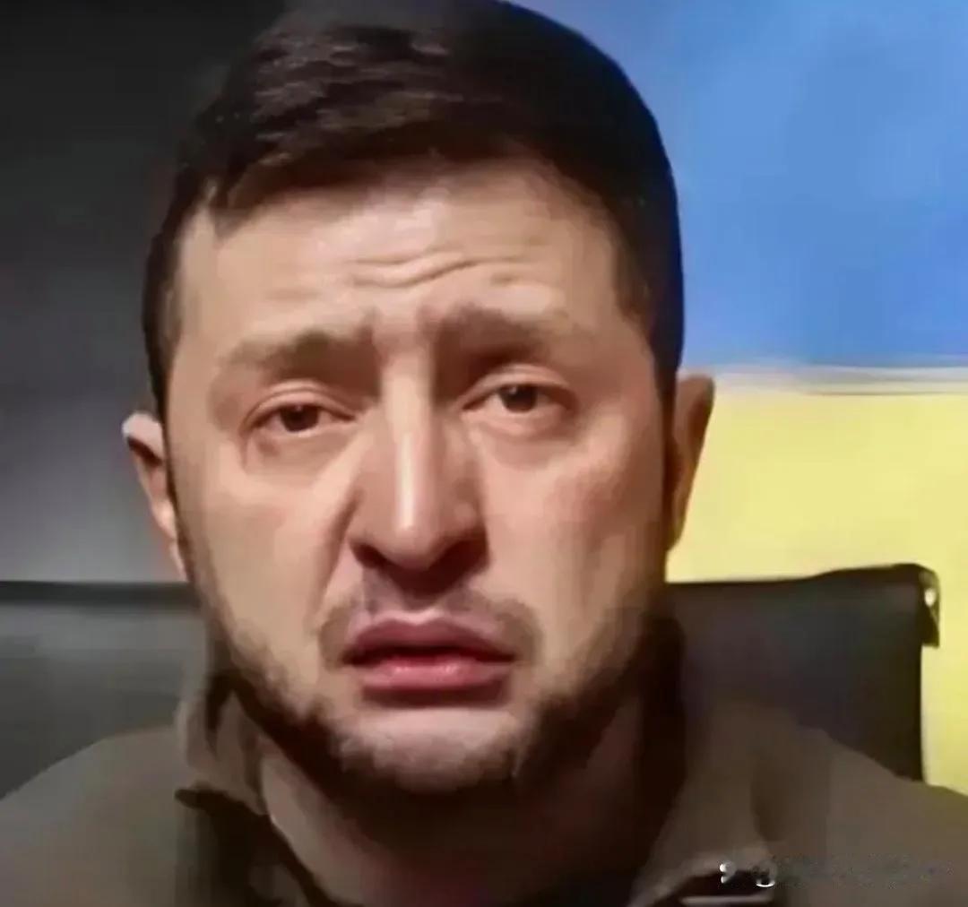 泽连斯基，得知你获得诺贝尔和平奖提名有啥话要对观众说？在第一时间要跟拜登分享这个