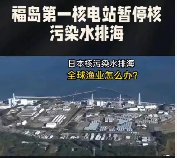 海啸来临，小日子暂停了福岛第一核电站核水排海行动！

原来这里面有个最大的原因，
