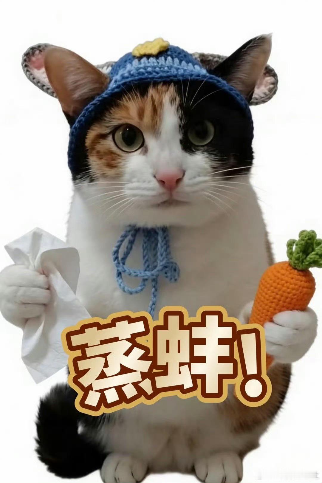 王铮亮也闯进了蒸蚌赛道亮哥和这个梗的适配度直接封神！萝卜纸巾猫秒变颜料瓶子亮哥，