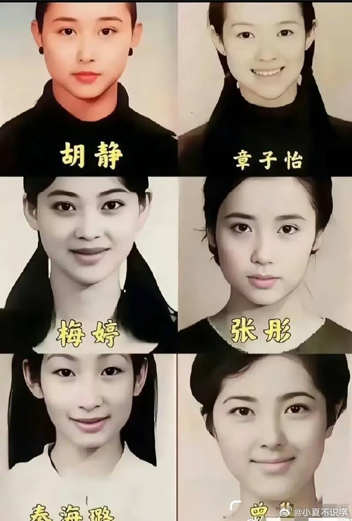 曾黎，中戏96级明星班的颜值担当，凭借出众外貌与独特气质被公认是校花。她美得自然