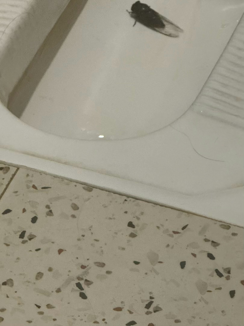 谁来告诉我这怎么办 
