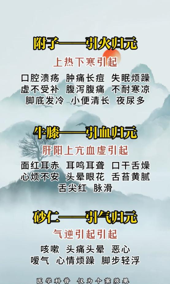 三味药材引归元，分清火血气对症调理