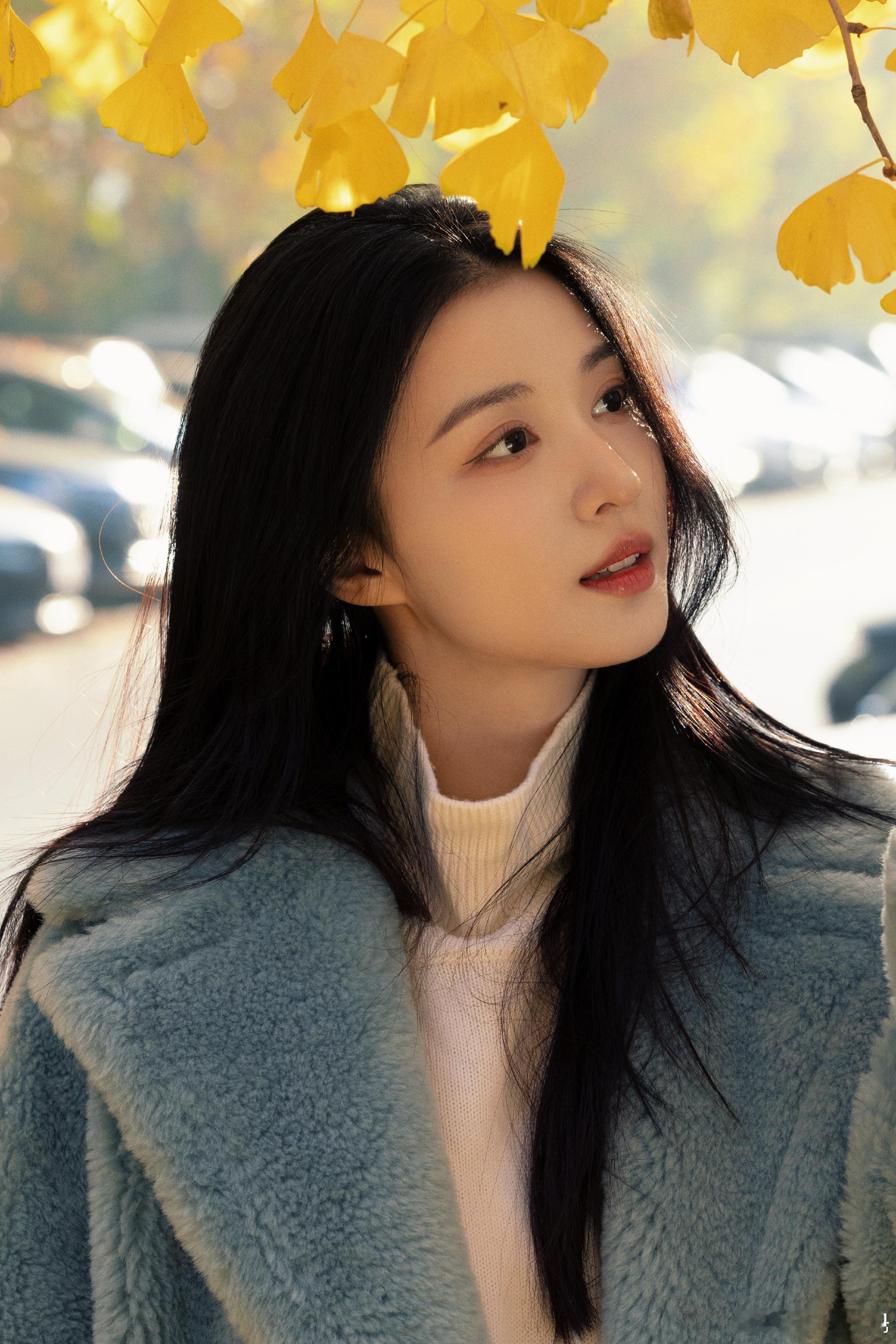银杏承载着秋天的思念！王楚然向你发送了一份秋天的美好！ 