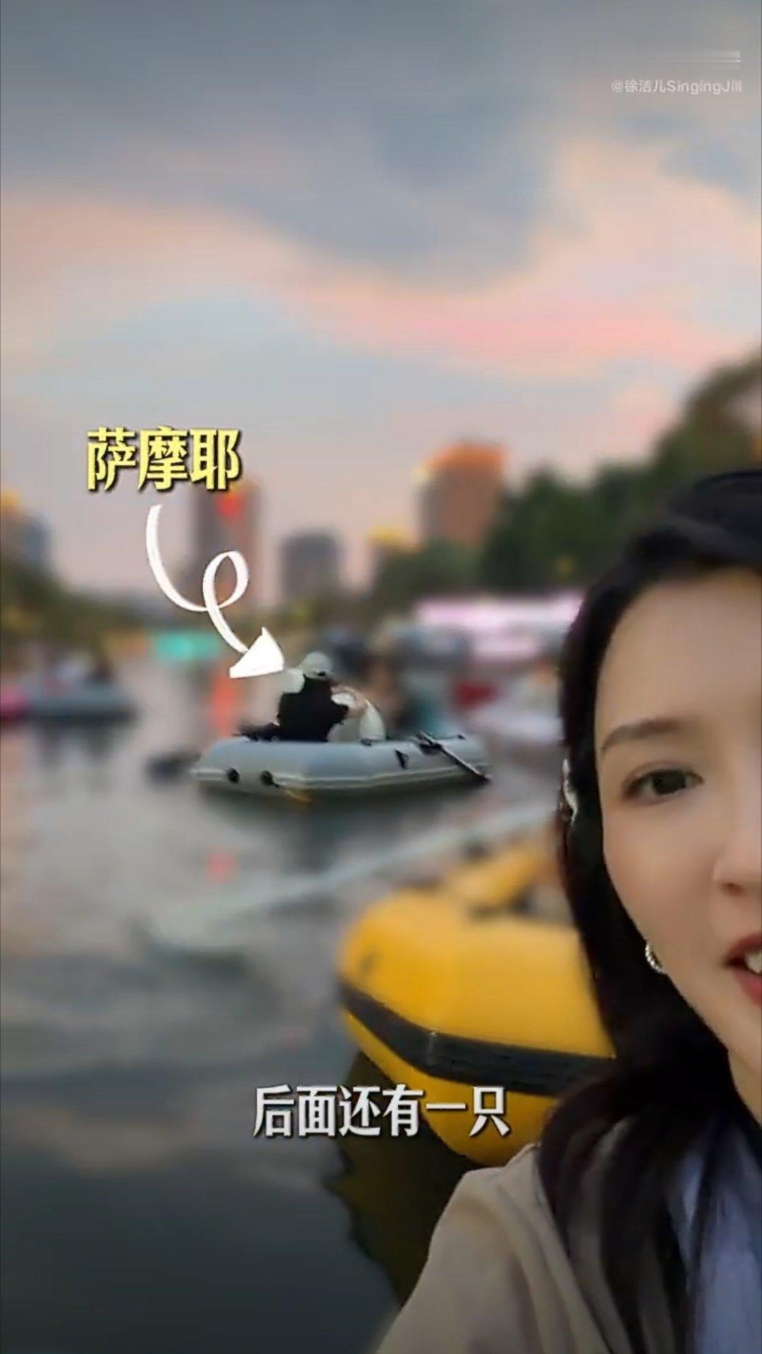 你这里也有一只啊 ​​​