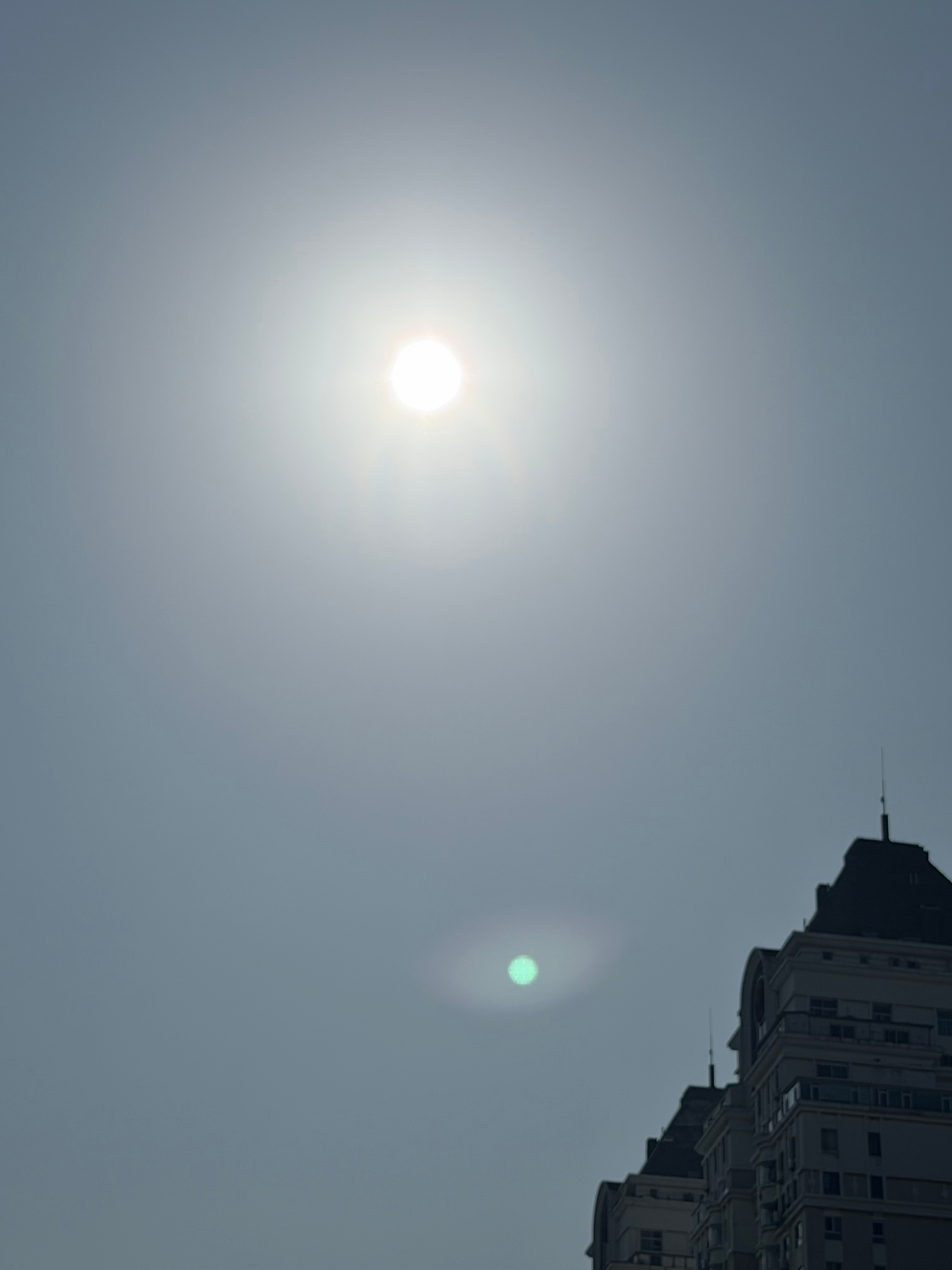 昨天雨下了一天，今天太阳竟然那么大！！！ ​​​