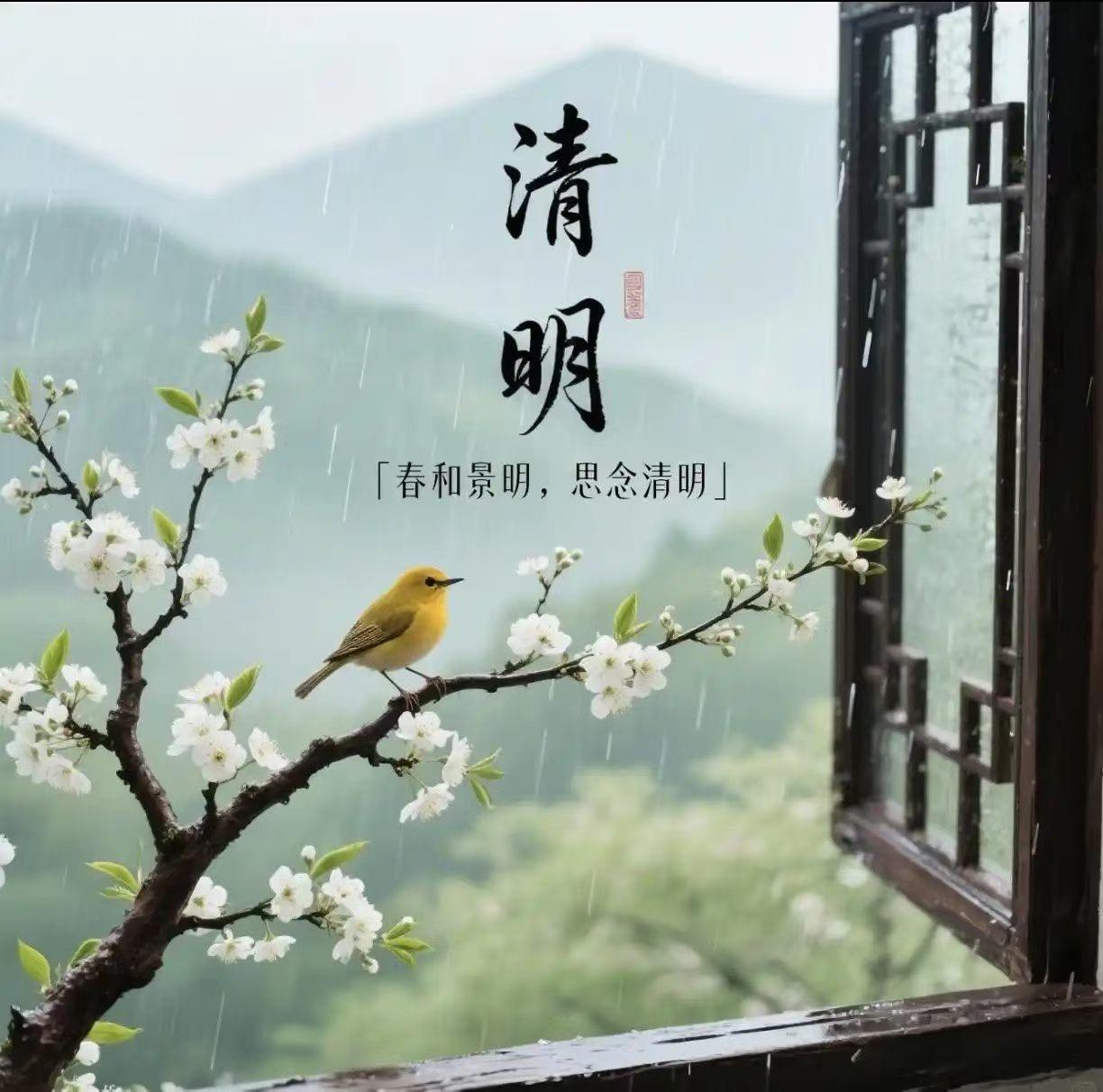 最美人间四月天，又是 一年清明时  。当初带我上坟的人，却成了…等我上坟的人。后