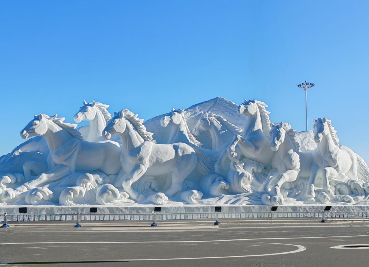 黑龙江齐齐哈尔市建华区人民政府发布情况通报：2月2日15时许，建华区芳华颐养养老