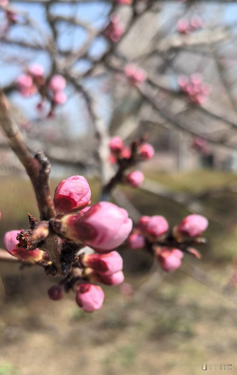 善良的人遇到了感恩的人，让彼此都有了生命中最感人的故事，最温暖的相遇。