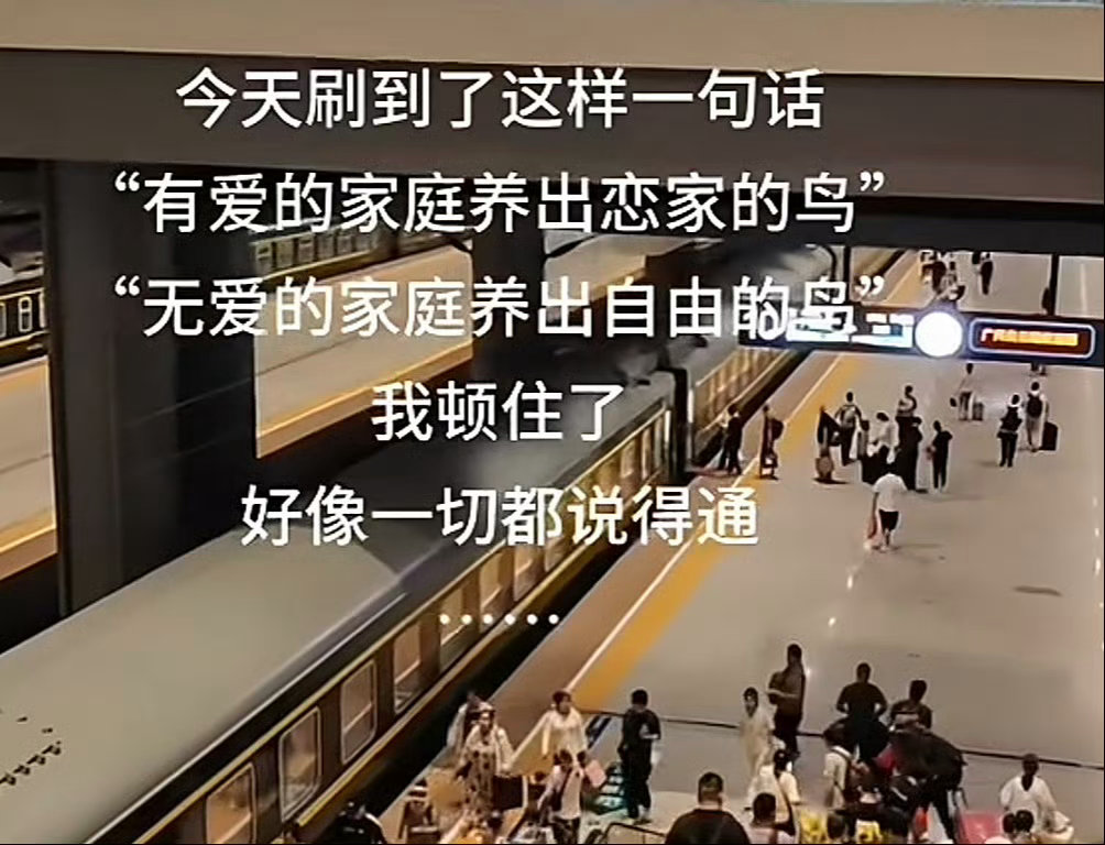 时好时坏的家庭会同时飞出恋家与想逃离的鸟