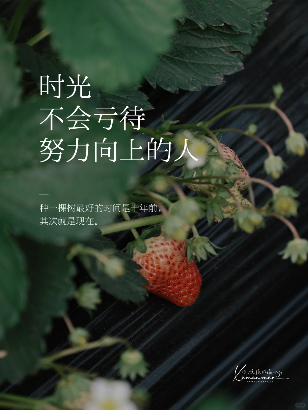 Plog🍓｜“时光，不会辜负努力向上的人”