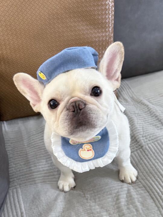 穿成这样的话，有人要和我约会吗？