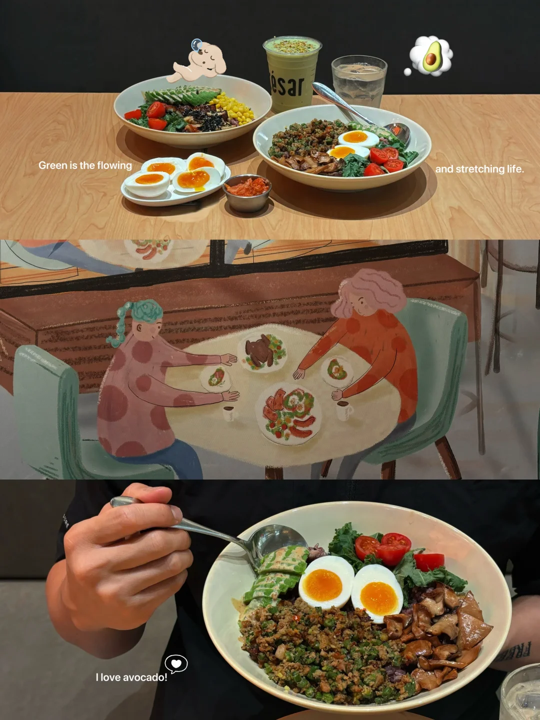 广州！牛油果脑袋看过来◕‿◕