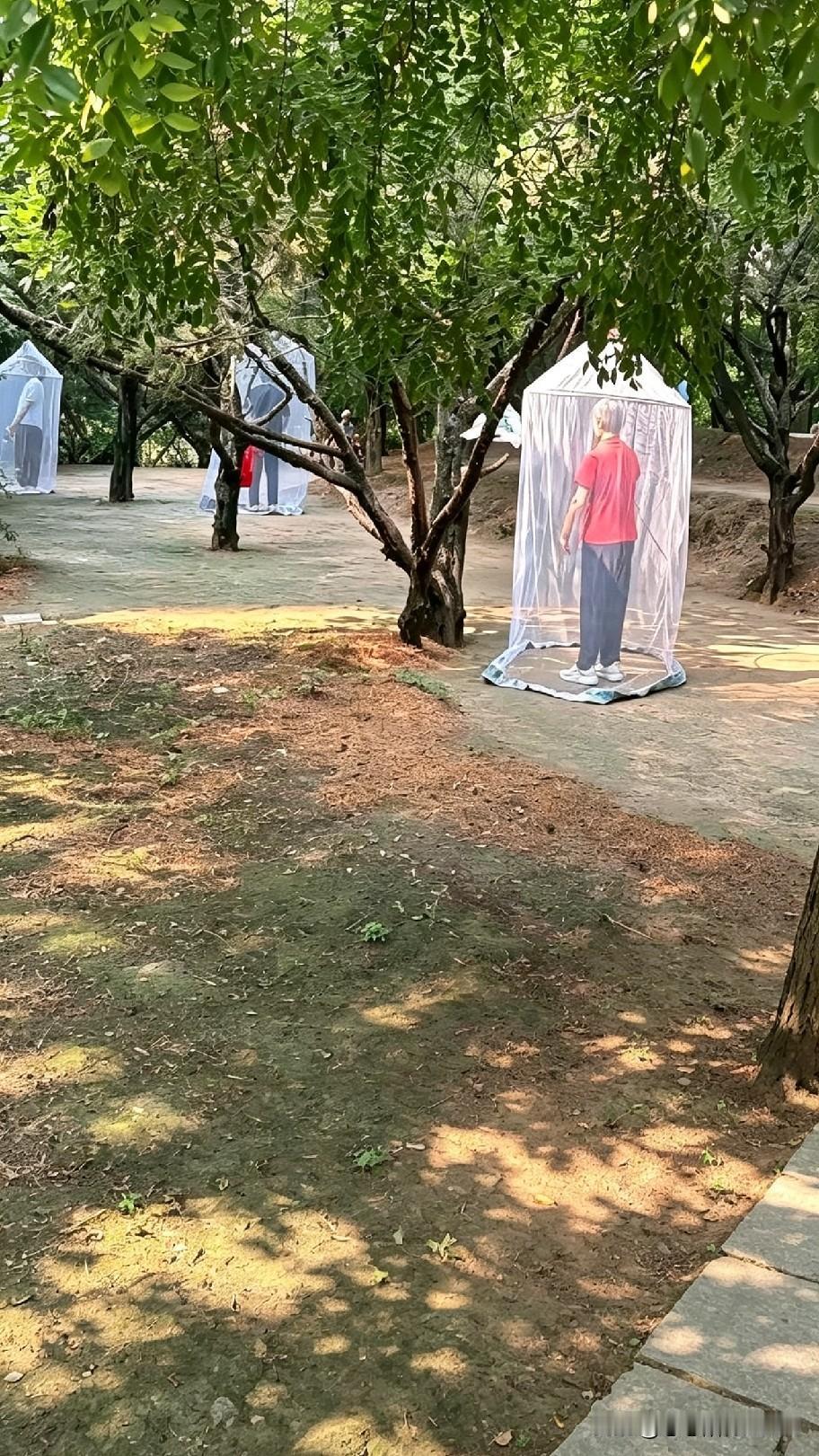 公园里看到一幕真的看不懂：几位老人钻进白色网罩里，就这么站在树荫下。是养生、防晒