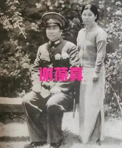 1947年，特务将杨虎城的夫人谢葆真牢牢捆住，扯下她的裤子后，用针头扎进她的大腿