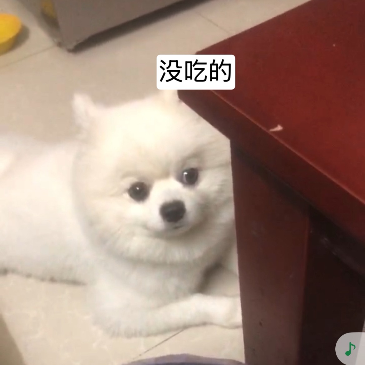 感觉年糕真的很会变脸 ​​​