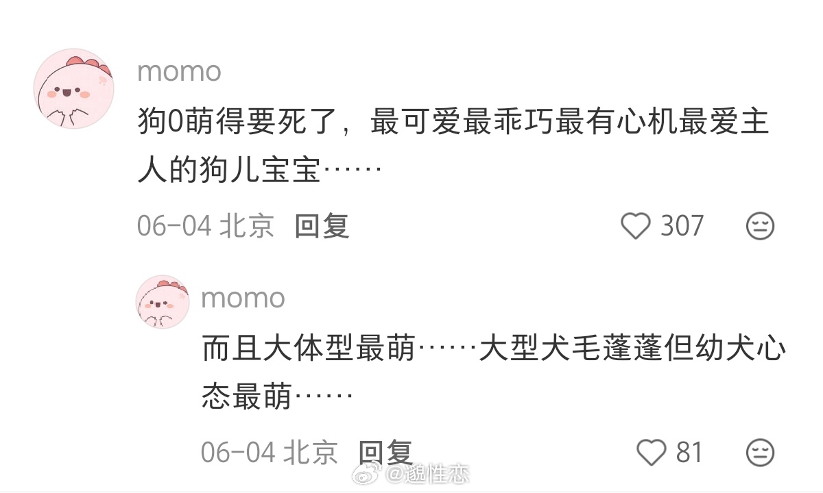 代地虎雪獒皮套。。雪狗就这样往橘虎怀里扑呀萌得要命。。（但是我家妹妹没心机… 