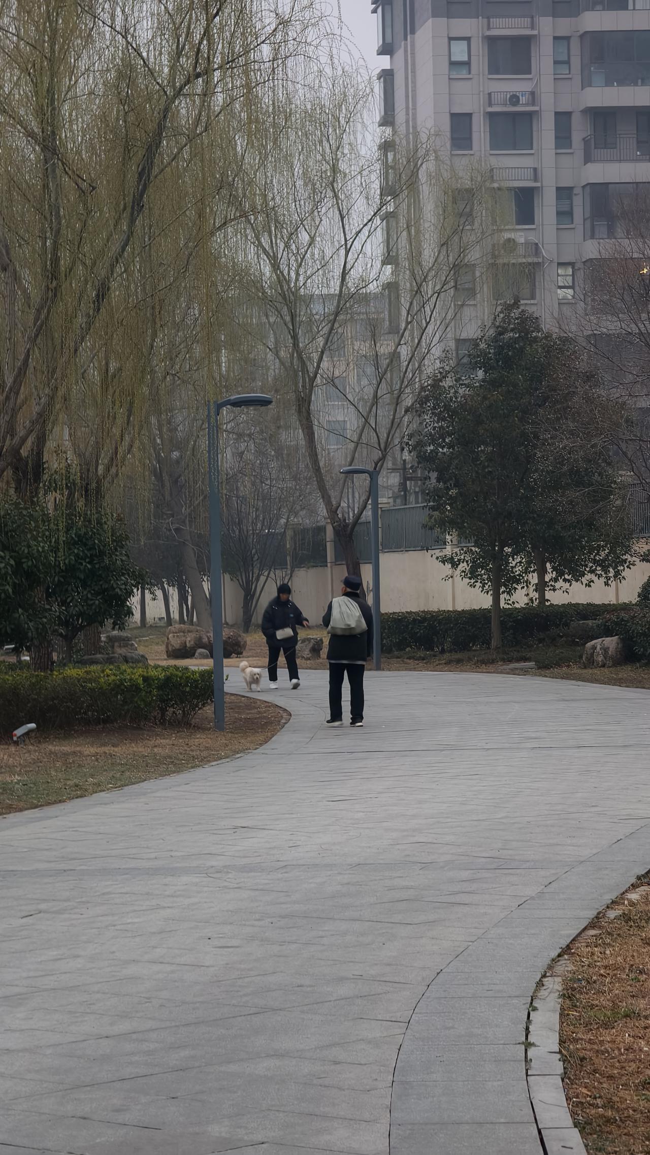 你能用一句话概括什么是幸福吗幸福，就是在成武的清晨薄雾里，有人在前面遛着狗散着步