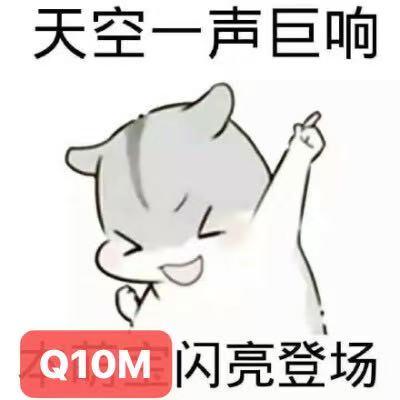 TCL这次发布会，戳中了多少品牌的“软肋”？

1月5日TCL Q10M系列发布