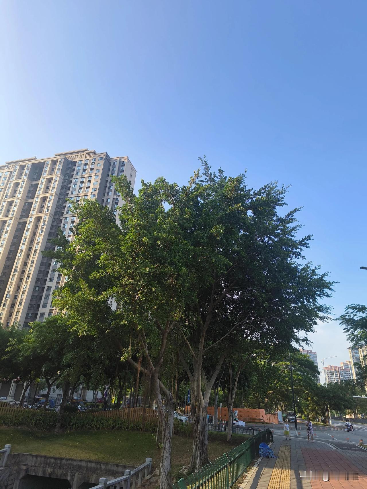 我太想和你好了，可衣不如新，人不如故。

旧人知我冷暖，新人只识我笑容。
我怕我