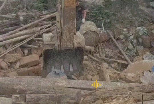 “真的破防了！”湖南浏阳拆迁现场满是心酸一幕，眼看房屋即将被挖掘机推倒，狗妈妈死