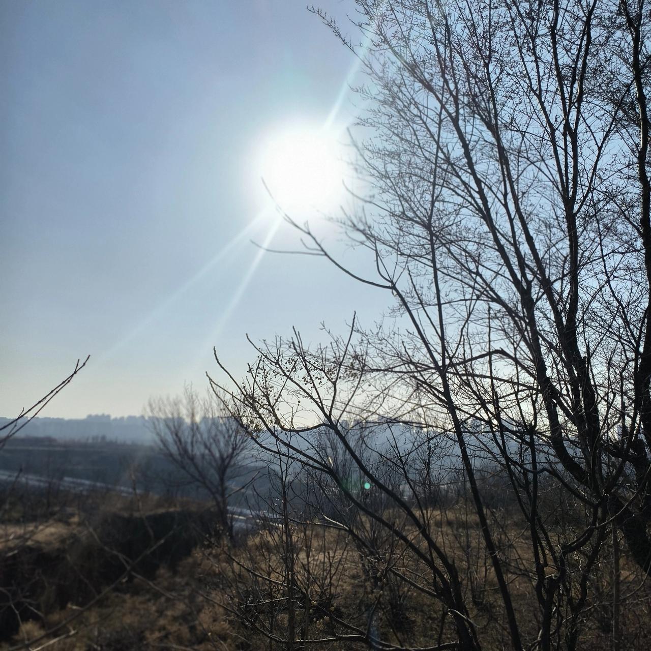 能否用一句话说出幸福是什么幸福就是身心安康，家庭和睦，内心充实，懂得知足，幸福才